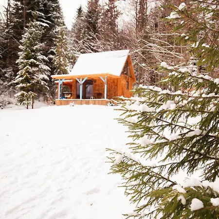 Pod Hala Krupowa - Na Szlaku